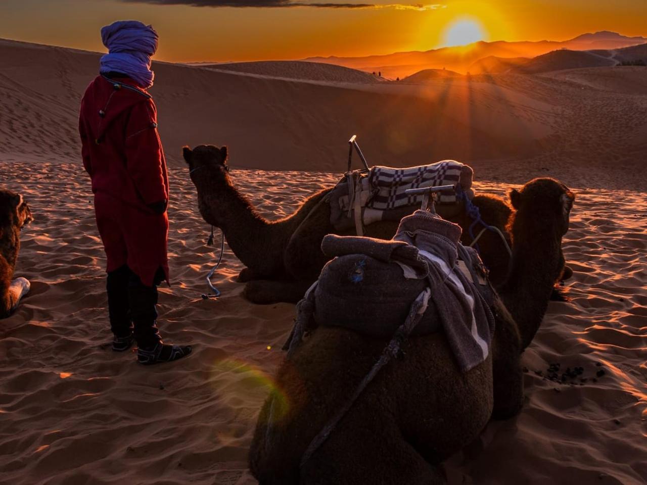 Camp Under Stars (Adults Only) Merzouga Ngoại thất bức ảnh